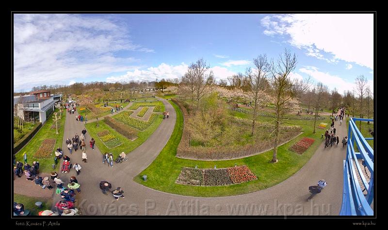 Keukenhof Hollandia 022.jpg